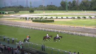 2013 0825 第33回 新潟２歳ステークスＧＩＩＩ 本馬場入場 現地映像 ハープスター [upl. by Eerual]