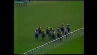 1982 Dubai Champion Stakes [upl. by Panter637]