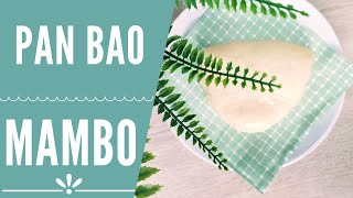 Pan bao en Mambo  RECETAS MAMBO CECOTEC [upl. by Hilliard]