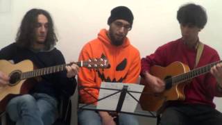 Menhir  Das Hildebrandslied  Teil I Acoustic cover [upl. by Eisac]