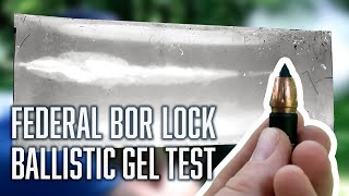 How effective are Federal BOR Lock Muzzleloader Bullets  100yard Ballistic Gel Test [upl. by Ardnassac842]