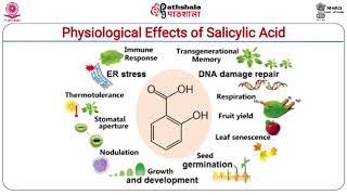 Salicylic acid [upl. by Weeks]