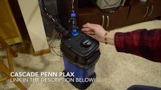 How to clean a Cascade Canister Filter [upl. by Ruhtracam]