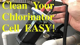 How to Clean Your Pool Chlorinator Salt Cell [upl. by Kho324]