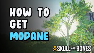 How to Get Mopane  Mopane Location  Skull amp Bones [upl. by Kopple]