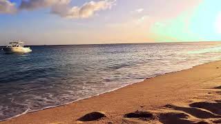 Beach ambiance sound Effect beach video for sleeping calming Sunset beach waves [upl. by Eshelman38]