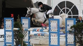 Al Ashar Vollblutaraber LStil Springen  Arabian Horse  Show Jumping [upl. by Haon]