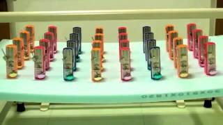 How long can these 32 metronomes swing in perfect sync [upl. by Nanerb]