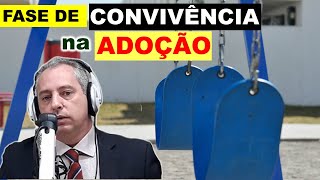 Como funciona o estágio de convivência na adoção [upl. by Meraree]