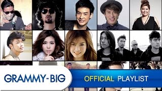 รวมเพลงฮิตฟังสบายๆ  MP3 Hits Playlist Vol4 GRAMMY BIG [upl. by Amir]