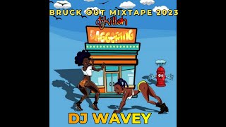 DAGGERING LADIES DANCEHALL MIX 2023 ROZE DON SpiceLincoln 3dotkartelAidonia yung bredda DJ WAVEY [upl. by Fidela119]