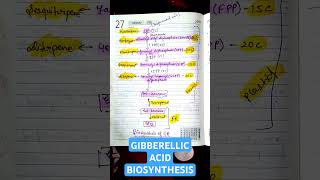 Gibberellic Acid Biosynthesis from Isoprenoid• CSIR life sciences• Gibberellin• csirnet GA botany [upl. by Aney]