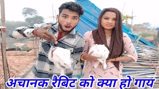 Rabbit ko Kya Ho Gaye  Hamara Rabbit Jkhami Ho Gaya [upl. by Ileane]