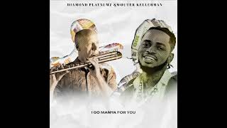 Diamond Platnumz amp Wouter Kellerman  Pounds amp Dollars Lyric Video [upl. by Ysor776]