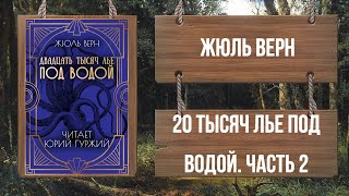 ЧАСТЬ 2 ЖЮЛЬ ВЕРН  ДВАДЦАТЬ ТЫСЯЧ ЛЬЕ ПОД ВОДОЙ [upl. by Treacy]