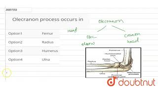 Olecranon�process occurs in [upl. by Wenoa]