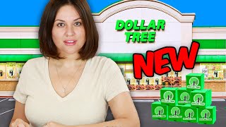 I Bought New Dollar Tree Products Heres What We SKIP [upl. by Berck]