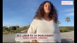 6 1 ¿QUÉ ES LA DUALIDAD [upl. by Hugues929]