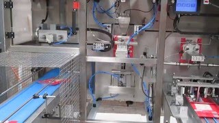 ADMDP30 Pouch Packaging Machine [upl. by Aldredge]