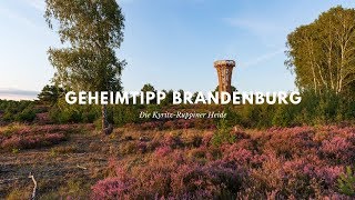 Geheimtipp Brandenburg Die KyritzRuppiner Heide [upl. by Agamemnon951]