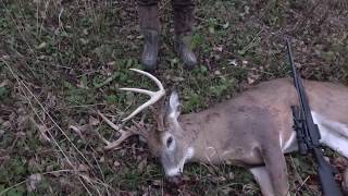 9 Point buck hunt with Savage 220 [upl. by Leveroni]