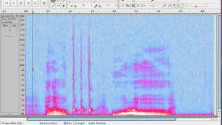 How to View the Spectrum in Audacity [upl. by Naitsirk]