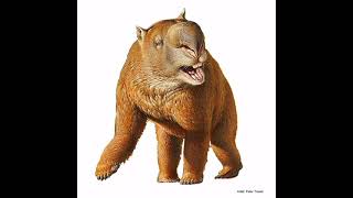 Diprotodongiant wombats reconstruction sounds [upl. by Trebmal223]