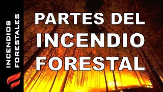 Partes de un incendio forestal [upl. by Doreen]