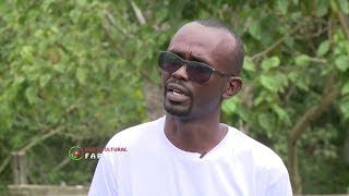 Young successful Horticulture farmer – Rodgers Kirwa [upl. by Labaw]