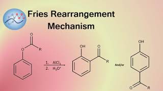 Fries Rearrangement Mechanism  Organic Chemistry [upl. by Anisah]