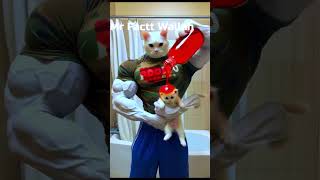 Kitten Loss His Hair 🙀 cat catsoftiktok shortsfeed trendingshorts viralshorts [upl. by Yemerej266]