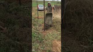 Installation of fence posts🗼 construction diy satisfying garden work landscape [upl. by Egerton]