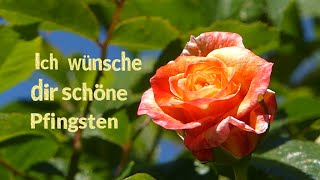 Ich wünsche dir schöne Pfingsten 🌹🌞 [upl. by Yks622]