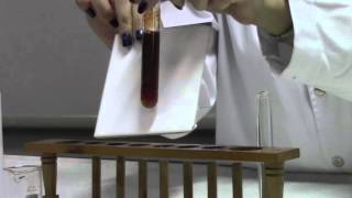 CHEMISTRY Cation Test for Fe3 using NaOH and NH4OH [upl. by Enaile989]