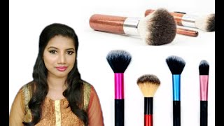 How To Use Basic Makeup Brushes in Tamil Tutorial [upl. by Haerr]