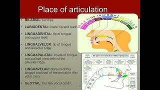 ARTICULATORY PHONETICS  TBI 3B [upl. by Eiznil562]