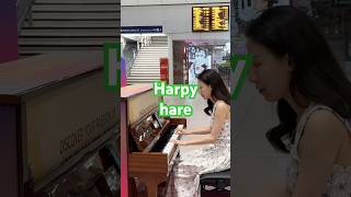 Harpy Hare on London Waterloo public piano londonpublicpiano london piano fyp shorts sub [upl. by Akinahs793]