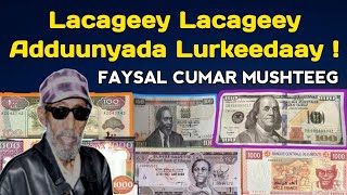 Lacageey  Faysal Cumar Mushteeg  Faysal cumar mushteeg dhugmaal  faysal cumar mushteeg lacage [upl. by Aikemot]