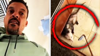 ExNBA Star Matt Barnes Battles Opossum in His Kitchen [upl. by Ahsrav]