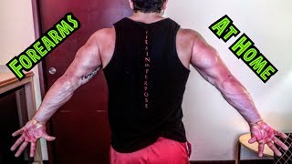 Intense Tabata At Home Forearm Workout HIIT [upl. by Aimas297]