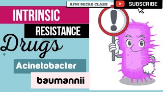 Intrinsic resistant Antibiotics  Acinetobacter baumannii  A baumannii Treatment [upl. by Jeconiah]