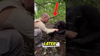 This scene is unreal 😱🙉 chimpanzee viralvideo shortvideos [upl. by Gonzalez]