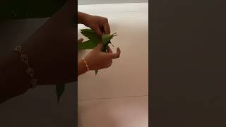 Mango leaf decoration Ideas  diy Pooja backdrop ideas diwali decoration youtubeshorts trending [upl. by Junno]