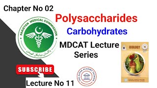 Polysaccharides Class 11 MDCAT In Urdu Hindi By Sir20  CHNo 02  LecNo 11  Biological Molecules [upl. by Mauchi]