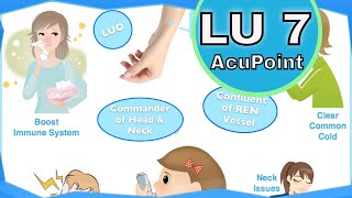 LU 7 Acupuncture Point Functions amp Location [upl. by Iclehc]