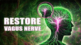 Restore Vagus Nerve  Resetting Inner Harmony And Happiness  741 Hz Reverberation [upl. by Trebliw327]