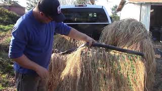 DIY Duck Blind Concealment amp Scouting for Birds [upl. by Annawaj]