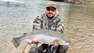 Huge 9 pound 275 inch trout from Blue Springs Pickle’s bottom [upl. by Oliy137]