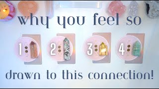 Why Are You So Drawn to Them 🌸🧲💞 Detailed Pick a Card Tarot Reading [upl. by Tdnarb]