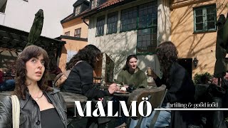 A day trip to Malmö  thrifting coffee shops and good food [upl. by Callista]